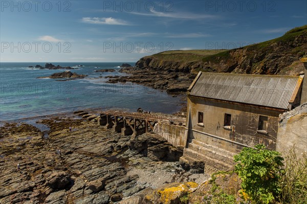 Lizard Point