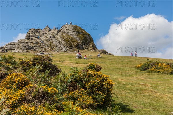 Haytor Rock