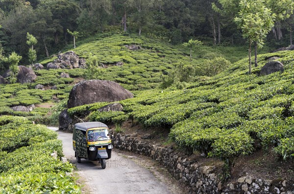 Autorickshaw