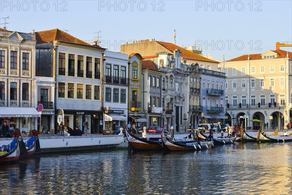 Moliceiros moored along the main canal