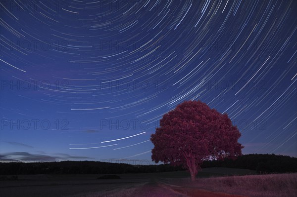 Star trails