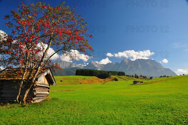 Hay barn