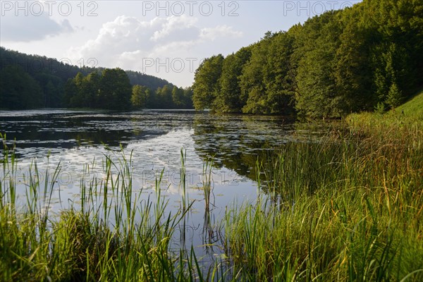 Lake near Rutka