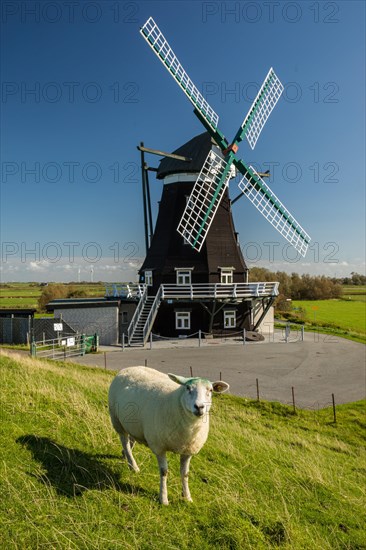 Windmill