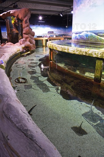 Basins and aquariums in the Sylt-Aquarium