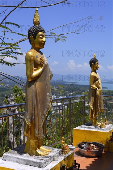 Buddha statues