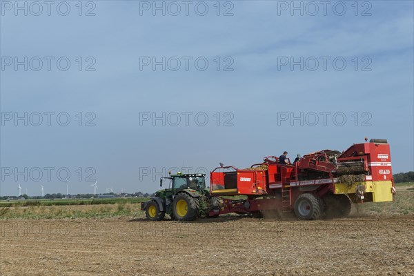 Mechanical potato harvest