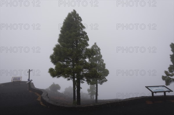 Mirador de Los Llanos de Jable