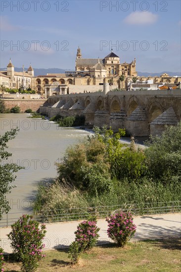 Mezquita