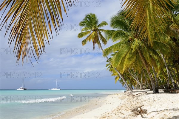 Palm Beach