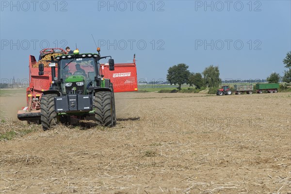 Mechanical potato harvest