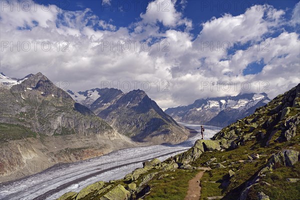 Hiking along the Great Aletsch Glacier