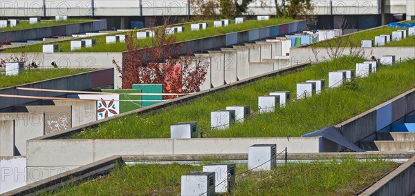 Green roofs in the Olympic Village