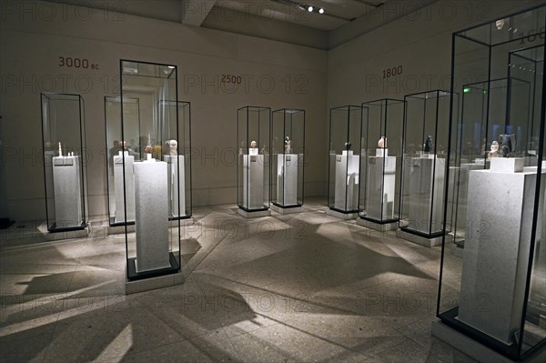 Showcases and exhibits