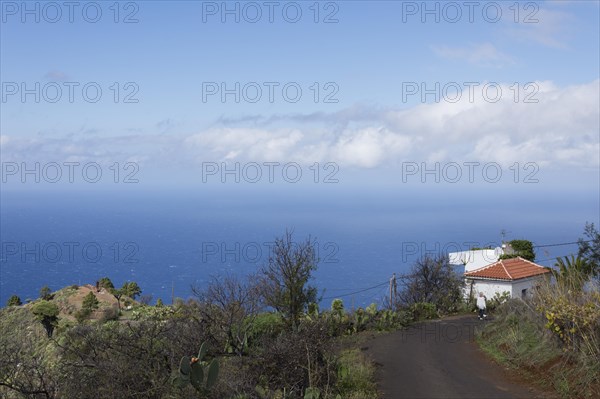 Coast near Las Tricias