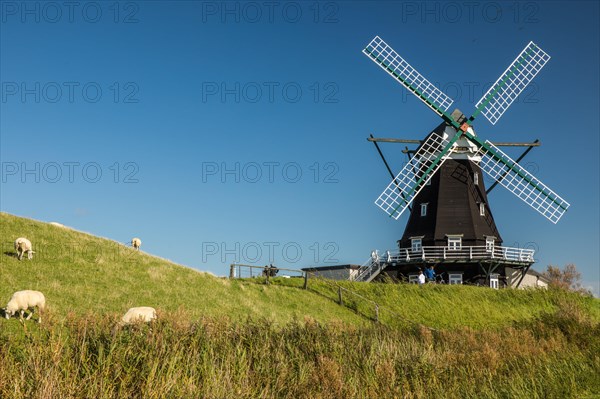 Windmill