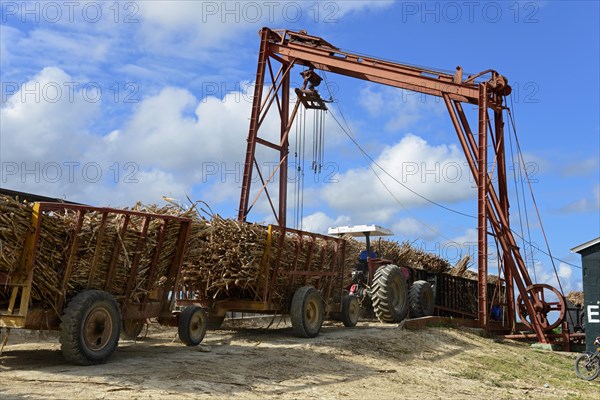 Tractor