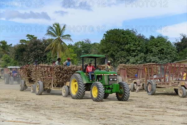 Tractor