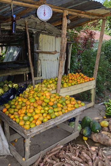 Fruit stand at El Seibo