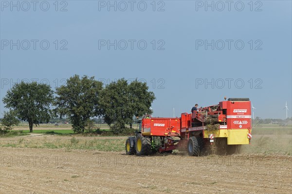 Mechanical potato harvest