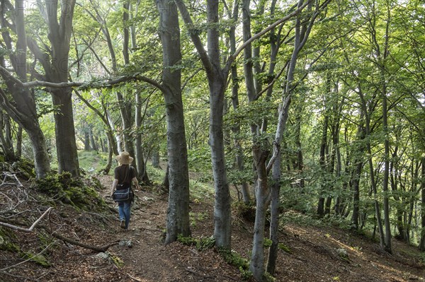 Descent from Sasso del Ferro