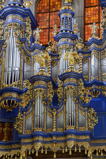 Organ