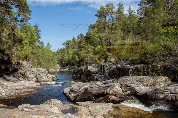 Glen Affric