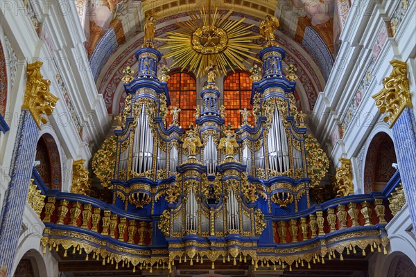 Organ