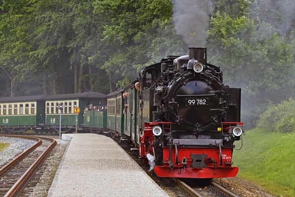 Narrow-gauge railway Rasender Roland