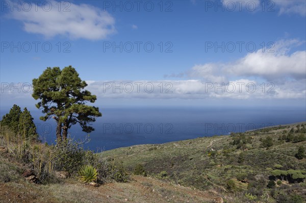 Coast near Las Tricias