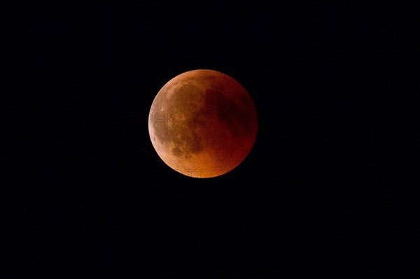 Blood Moon