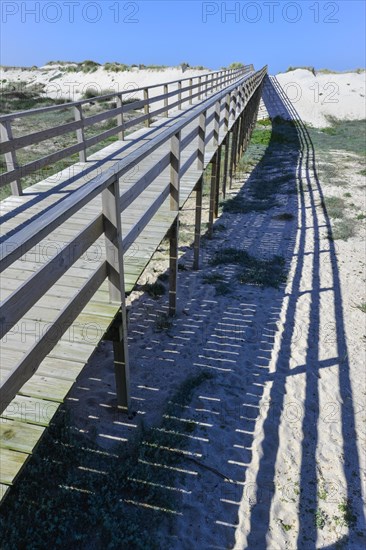 Wooden walkway on the beach Costa Nova