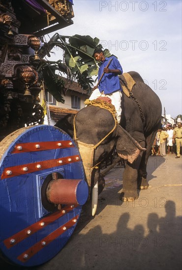 Elephant pushing the temple Chariot