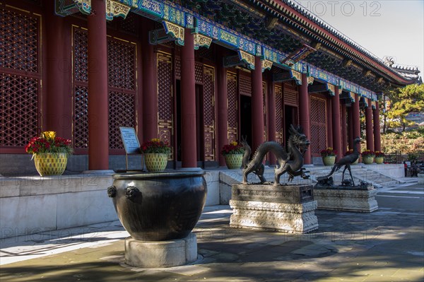 Summer Palace