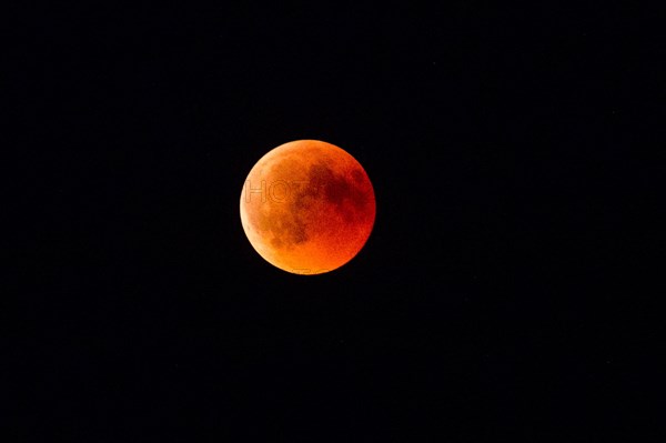 Blood Moon