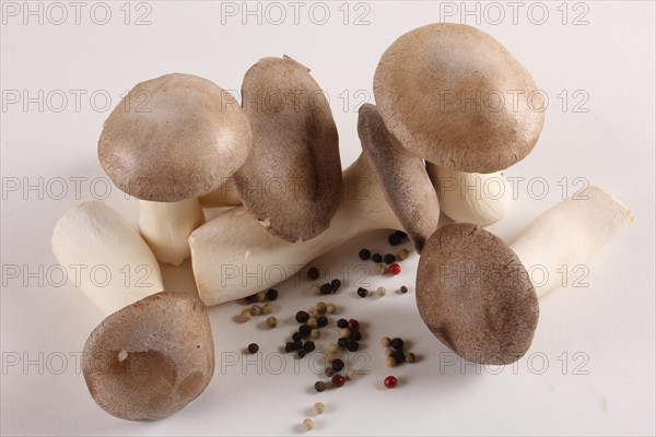 King trumpet mushrooms (Pleurotus eryngii) and peppercorns