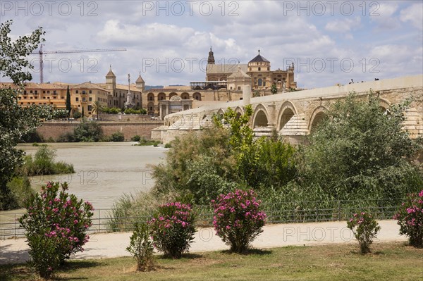 Mezquita