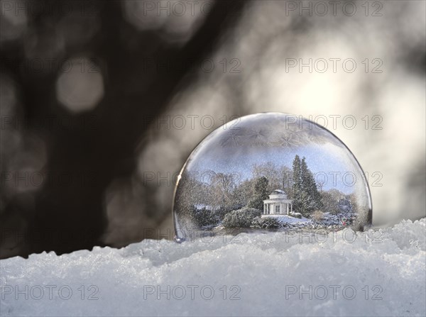 Snow globe