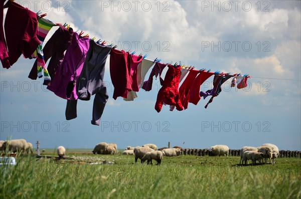 Washing day