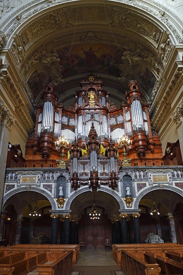 Organ and Organ Gallery