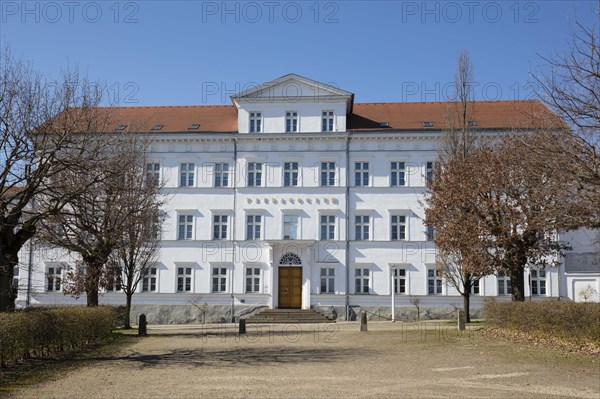 Paedagogium (Circus)