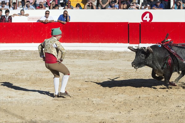 Bullfight in Alcochete