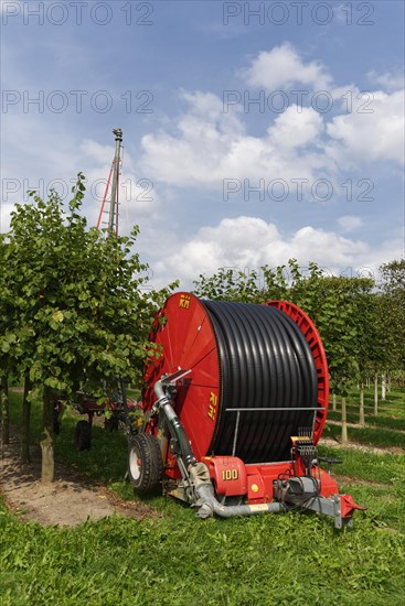 Hose cart in tree nursery