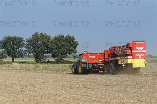 Mechanical potato harvest