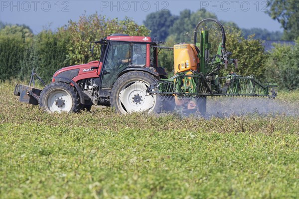 Farmer spraying pesticides