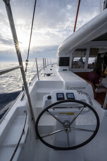 Steering wheel in the cockpit on the deck of a sailing catamaran in the evening light