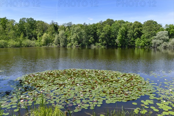 Teufelssee