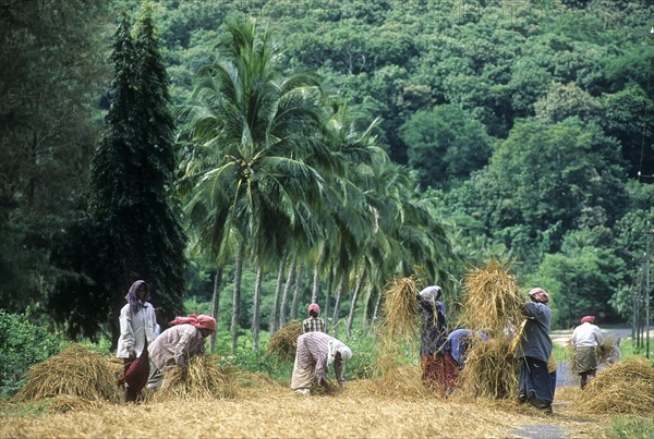 Threshing