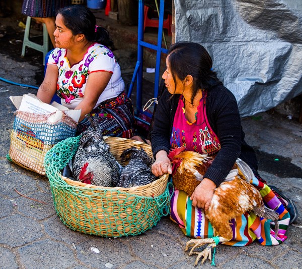 Poultry market