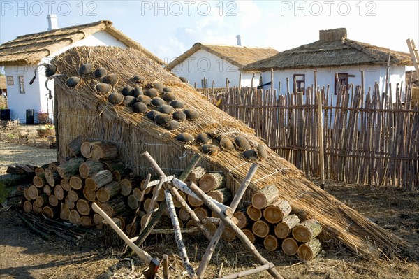 Ethnographical museum